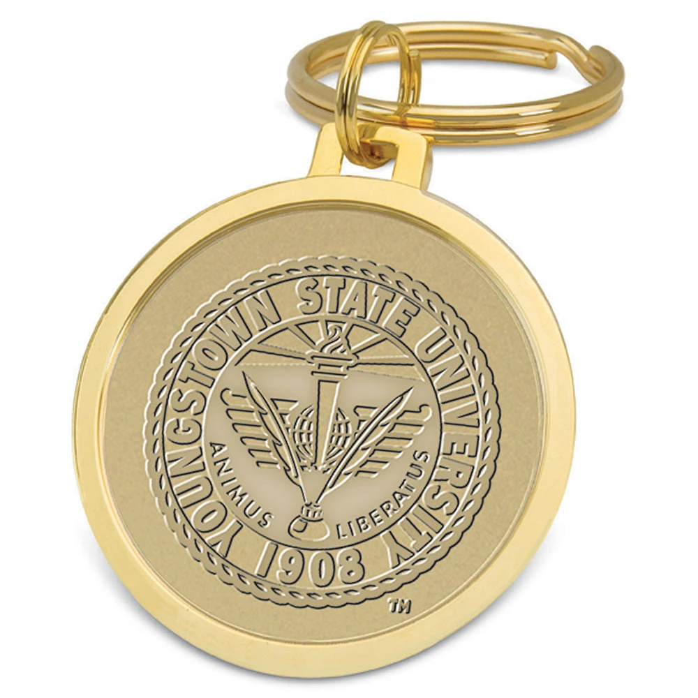 Gold Youngstown State Penguins Team Logo Split-Wire Key Ring