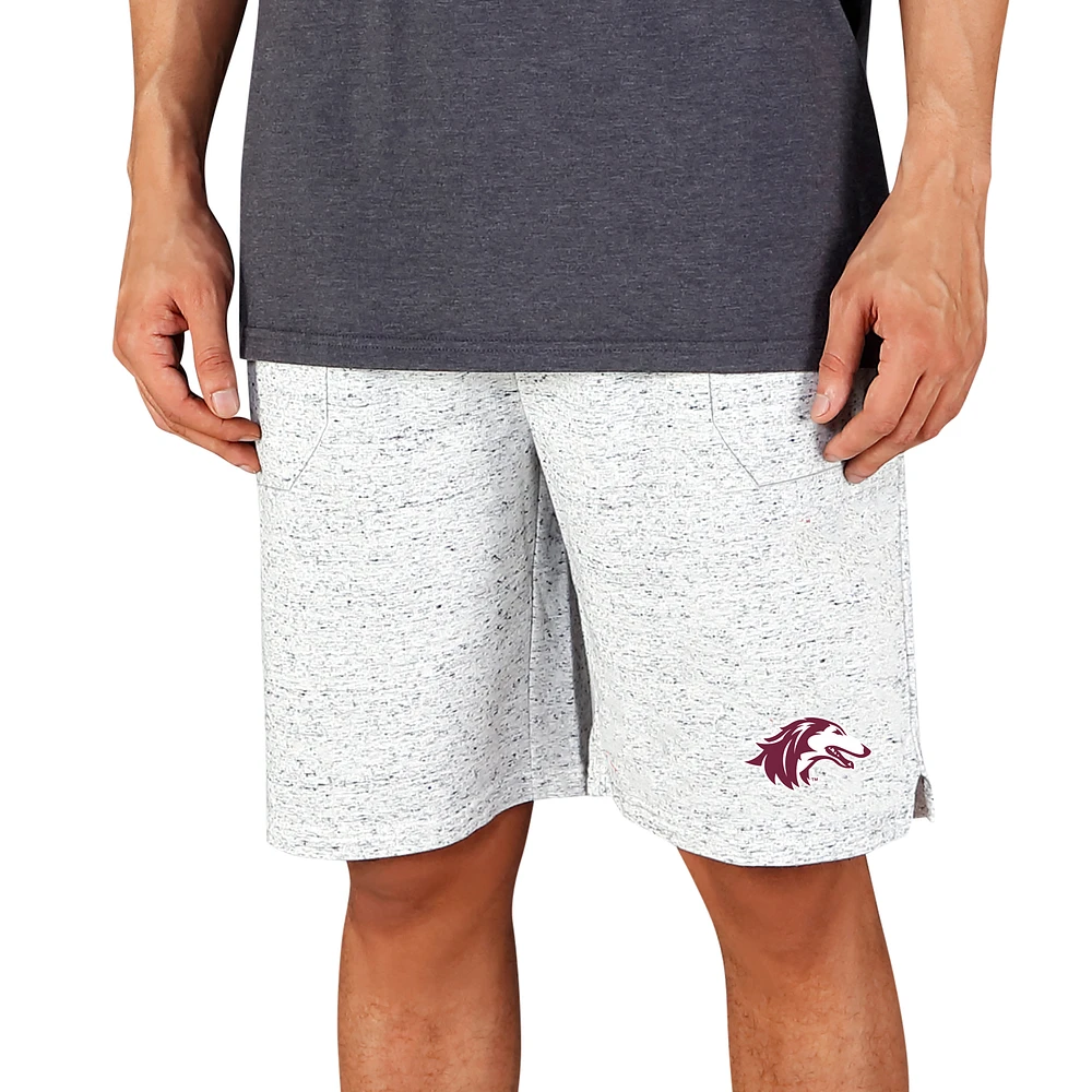 Men's Concepts Sport White/Charcoal Southern Illinois Salukis Throttle Knit Jam Shorts