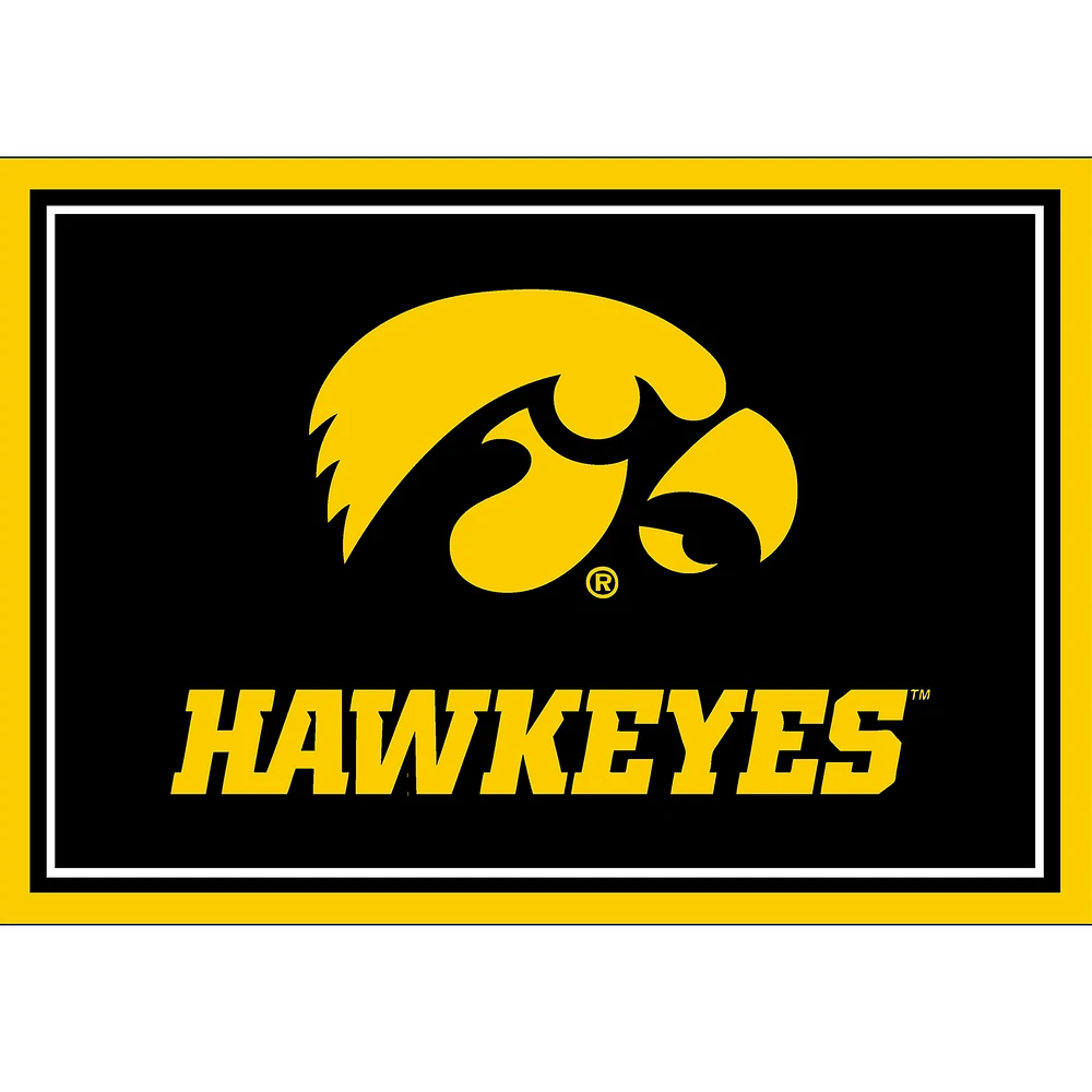 Imperial Iowa Hawkeyes 2'8" x 3'10" Area Rug