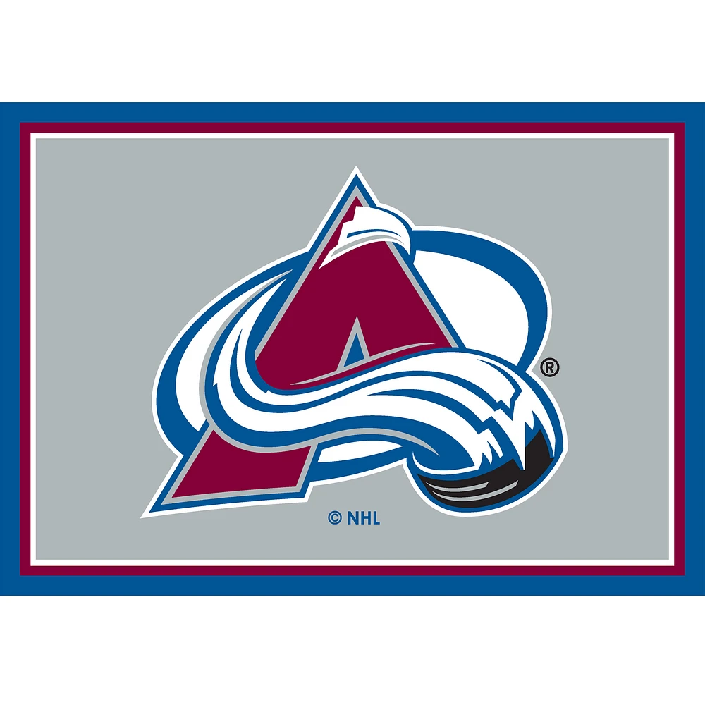 Imperial Colorado Avalanche 2'8" x 3'10" Area Rug