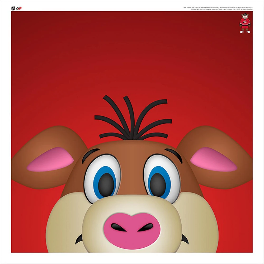 Stormy Carolina Hurricanes 12'' x 12'' Minimalist Mascot Poster Print