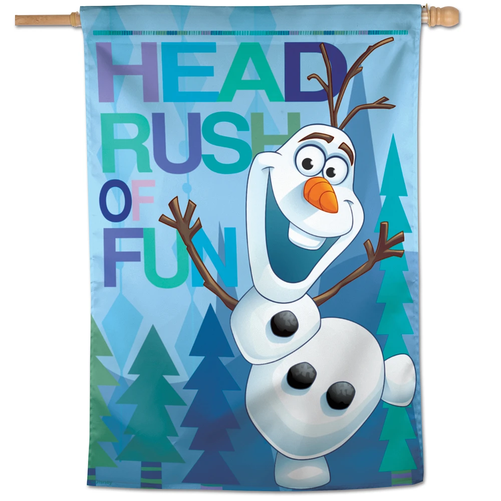 WinCraft Frozen Head Rush Of Fun 28'' x 40'' Single-Sided Vertical Banner