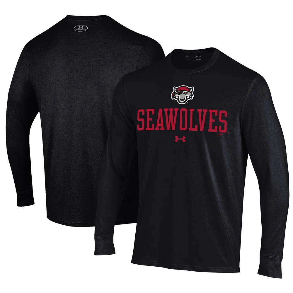 Men's Under Armour Black Erie SeaWolves Performance Long Sleeve T-Shirt