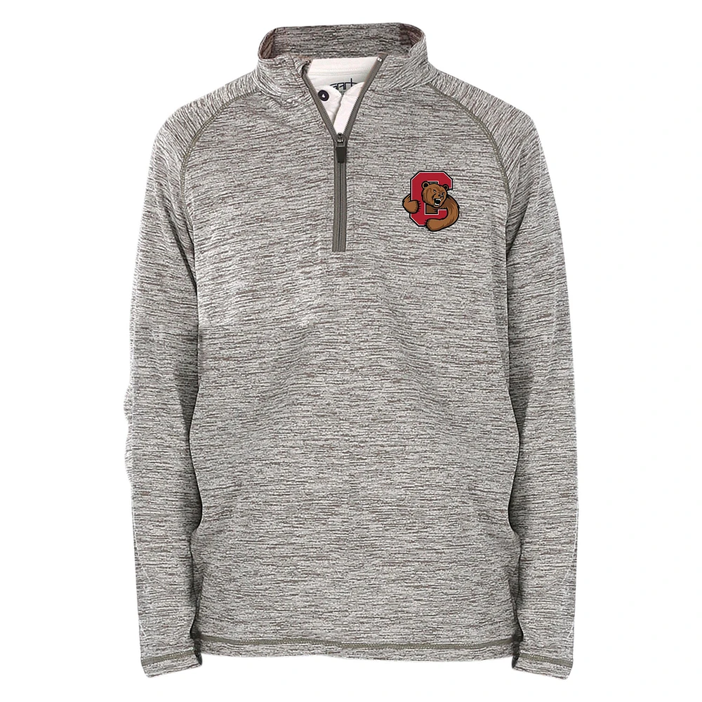 Youth Garb Gray Cornell Big Red Matthew Quarter-Zip Top