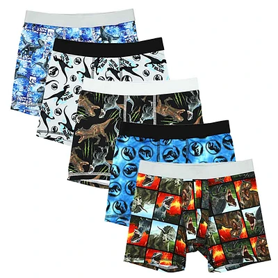 Youth Jurassic World 5-Pack Boxer Brief Set