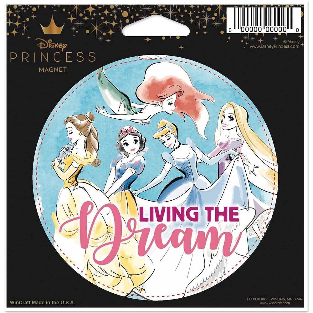 WinCraft Disney Princess 4.5" x 6" Indoor/Outdoor Magnet