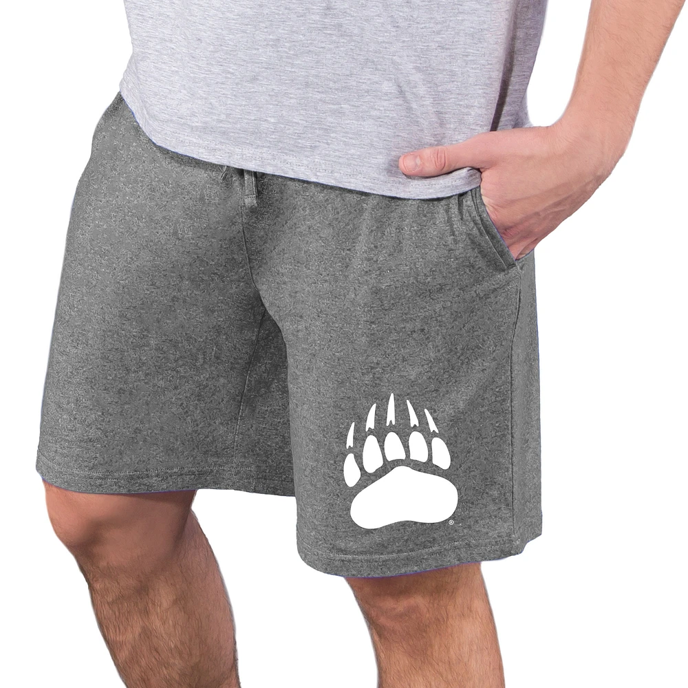 Men's Concepts Sport Charcoal Montana Grizzlies Quest Knit Jam Shorts