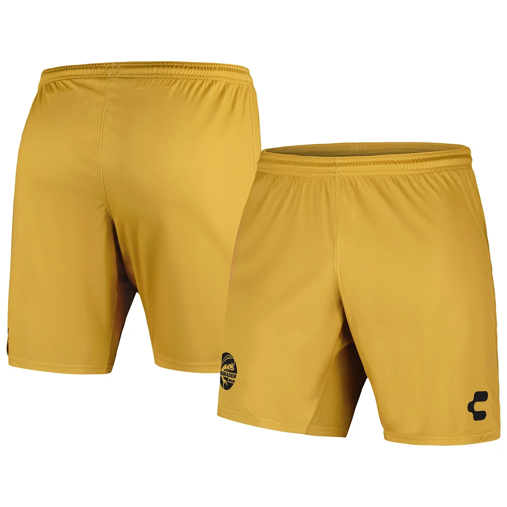 Men's Charly Gold Dorados de Sinaloa 2023/24 Training Shorts