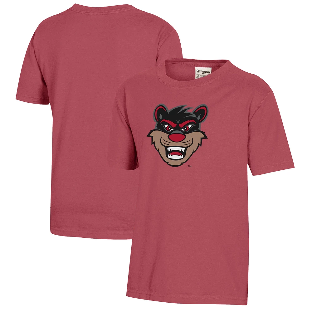 Youth Cincinnati Bearcats Logo Comfort Wash T-Shirt