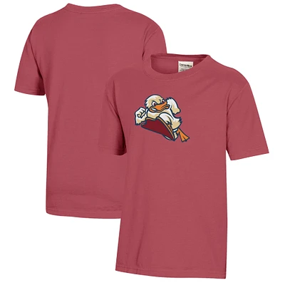 Youth Crimson Stevens Institute of Technology Ducks Logo Comfort Wash T-Shirt
