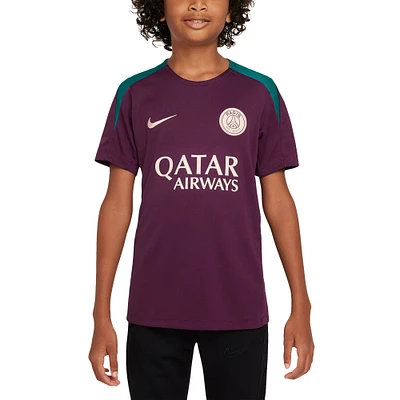 Youth Nike Burgundy Paris Saint-Germain 2024/25 Strike Training Performance Top