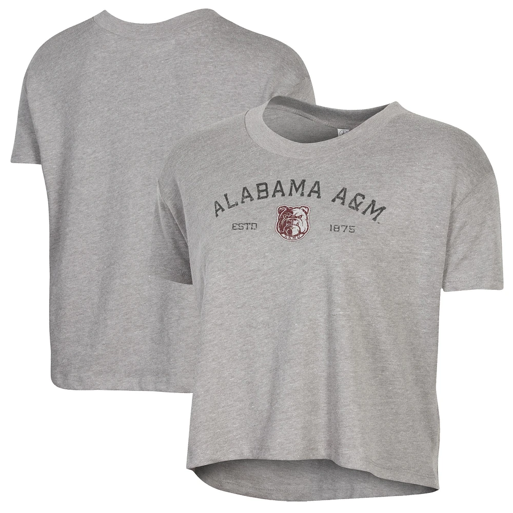 Women's Alternative Apparel  Gray Alabama A&M Bulldogs Retro Jersey Headliner Cropped T-Shirt