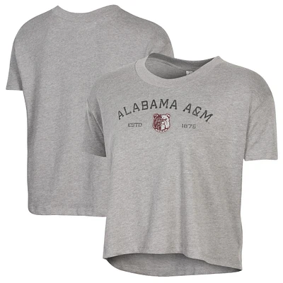 Women's Alternative Apparel Gray Alabama A&M Bulldogs Retro Jersey Headliner Cropped T-Shirt