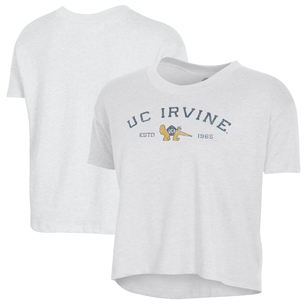 Women's Alternative Apparel White UC Irvine Anteaters Retro Jersey Headliner Cropped T-Shirt