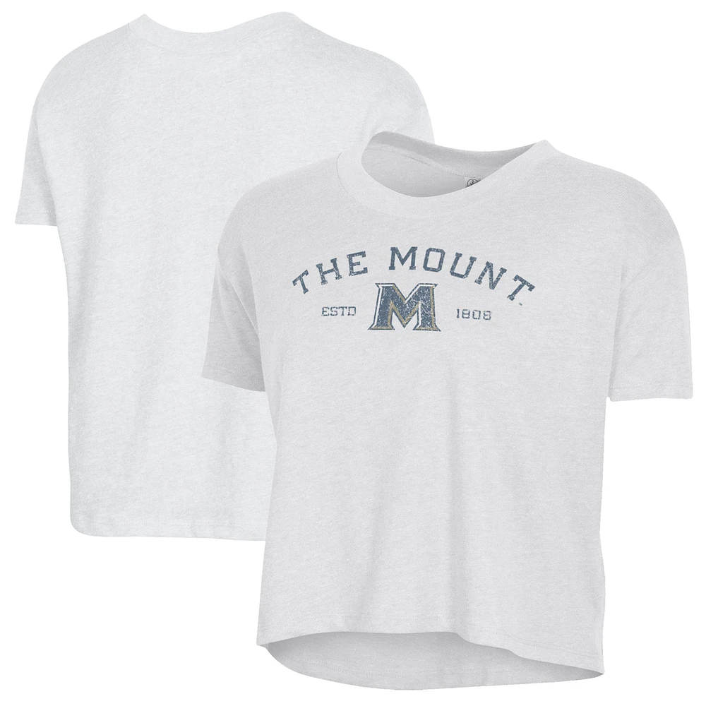 Women's Alternative Apparel White Mount St. Mary's Mountaineers Retro Jersey Headliner Cropped T-Shirt