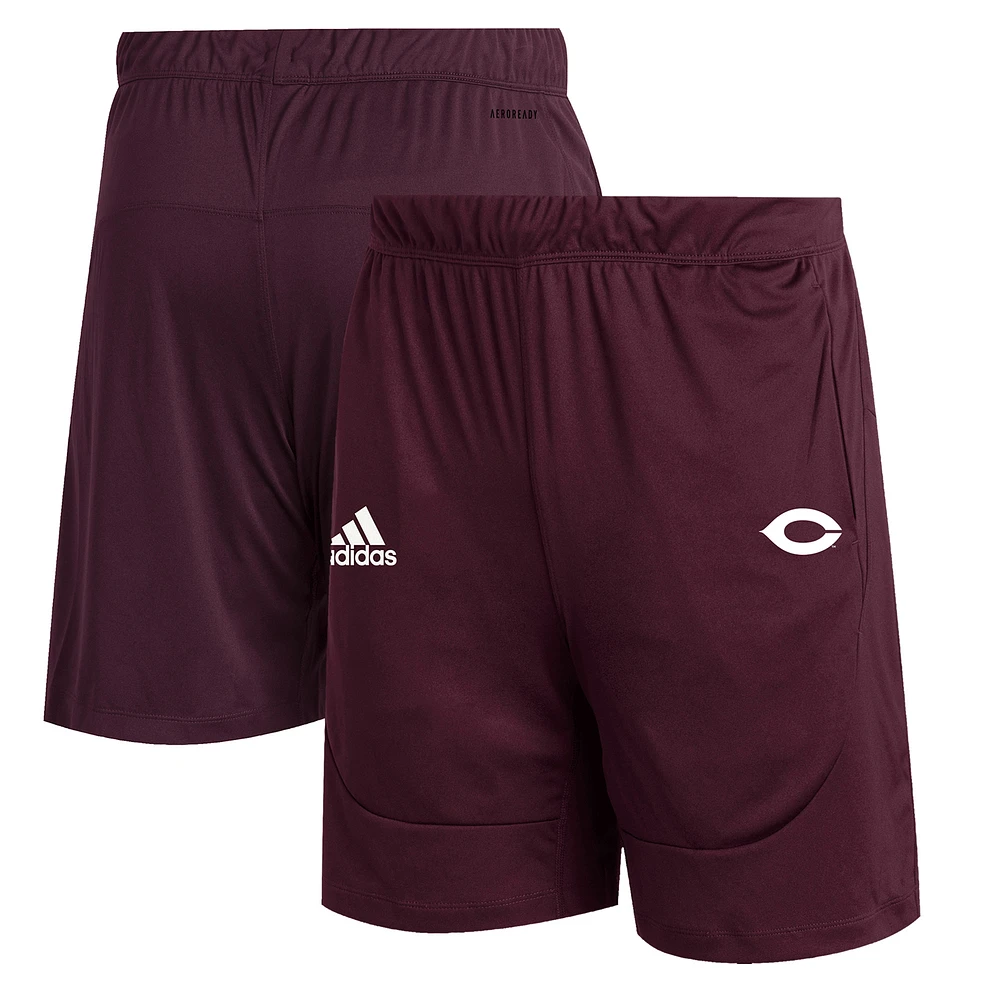 Men's adidas Maroon UChicago Maroons Sideline 21 Knit Shorts