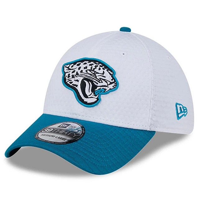 New Era Men display picture 1