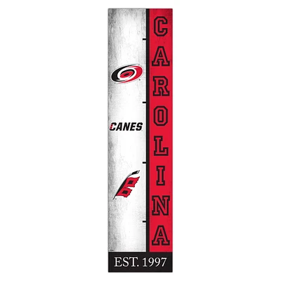 Carolina Hurricanes 6" x 24" Progression Wood Sign