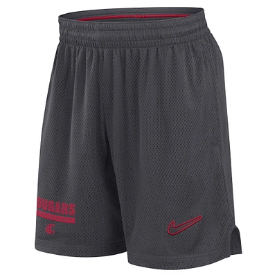 Men's Nike Anthracite Washington State Cougars 2024 Sideline Mesh Shorts