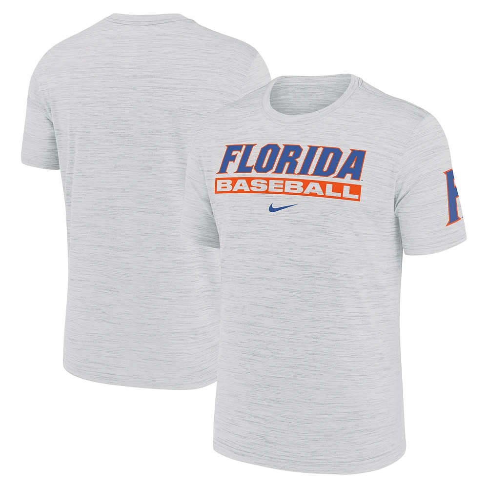 Men's Nike Ash Florida Gators Velocity Baseball Wordmark Stack Dri-FIT T-Shirt