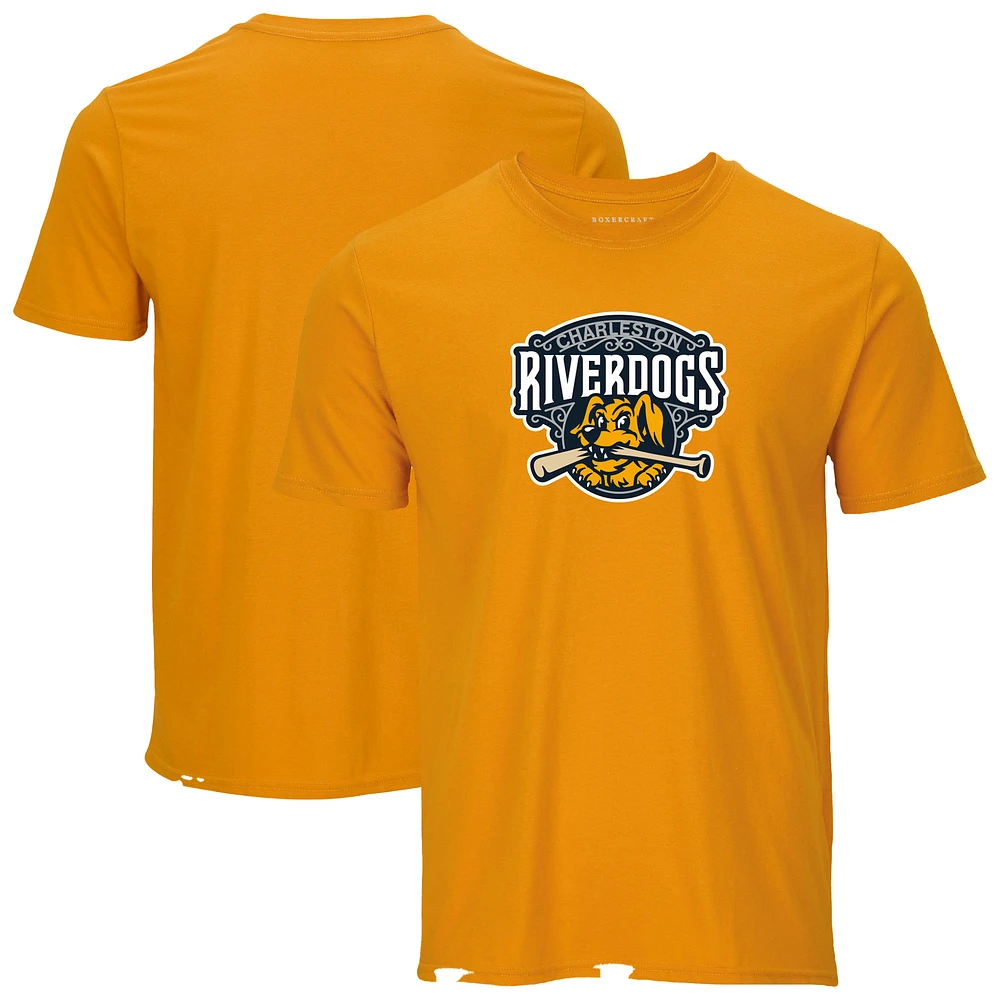 Men's Gold Charleston RiverDogs Essential T-Shirt