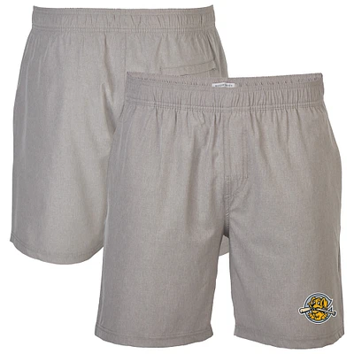Men's Gray Charleston RiverDogs Riptide Hybrid Shorts