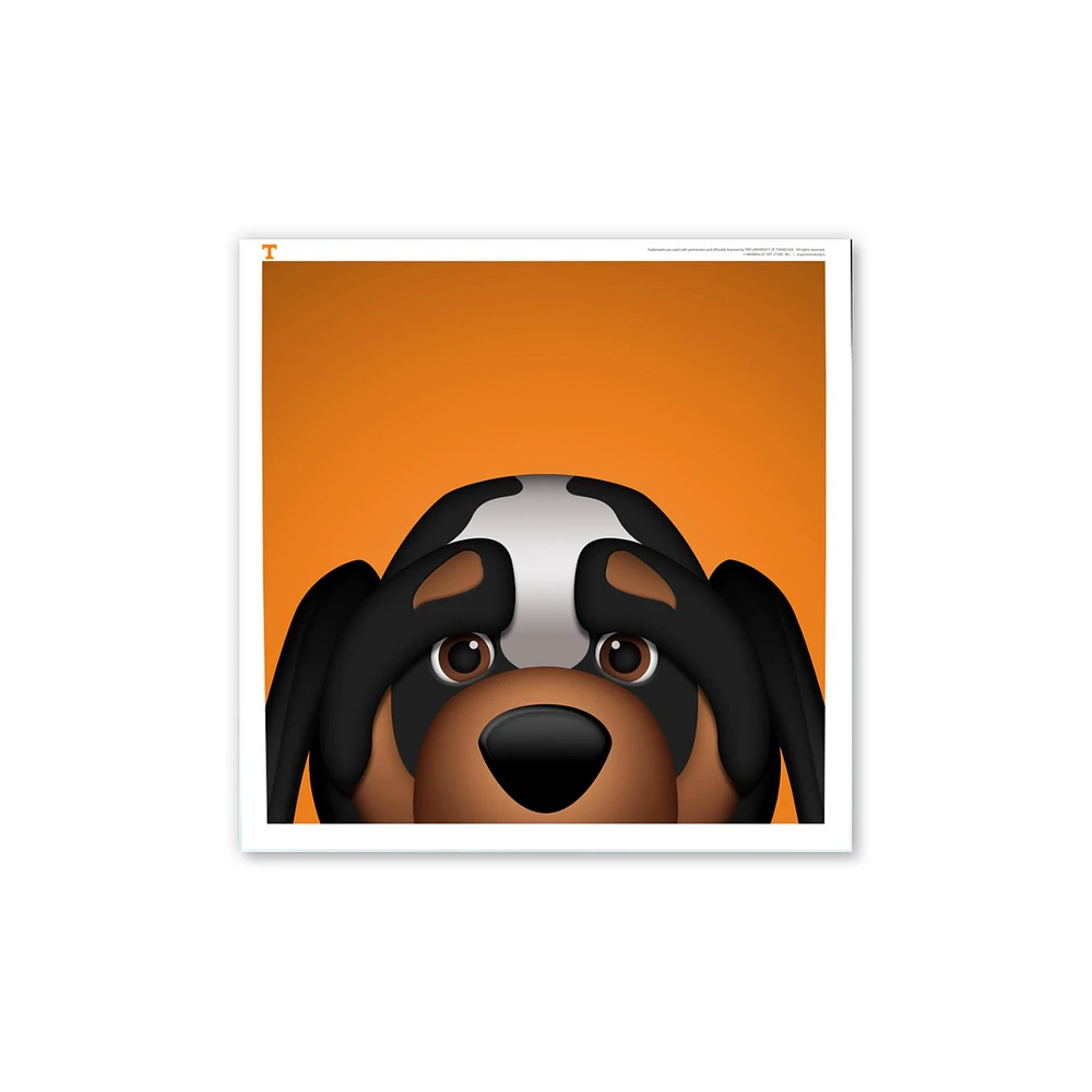 Smokey Tennessee Volunteers 12'' x 12'' Minimalist Mascot Poster Print