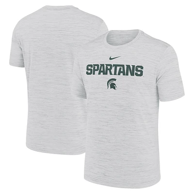 Men's Nike Ash Michigan State Spartans 2025 Sideline Velocity Performance T-Shirt