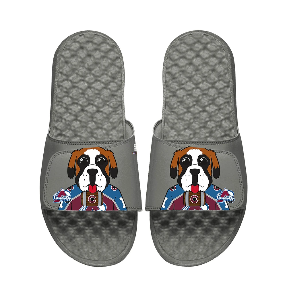Youth ISlide Gray Colorado Avalanche Team Mascot Slide Sandals