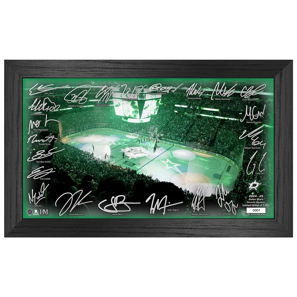 Highland Mint Dallas Stars 2024-2025 Signature Rink Print