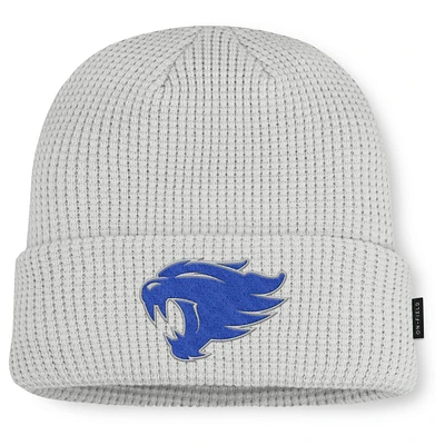 Men Nike Gray Kentucky Wildcats 2025 On-Field Utility Cuffed Knit Hat