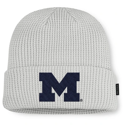 Men Jordan Brand Gray Michigan Wolverines 2025 On-Field Utility Cuffed Knit Hat