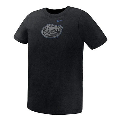 Preschool Nike Black Florida Gators Legend Color Pop Performance T-Shirt