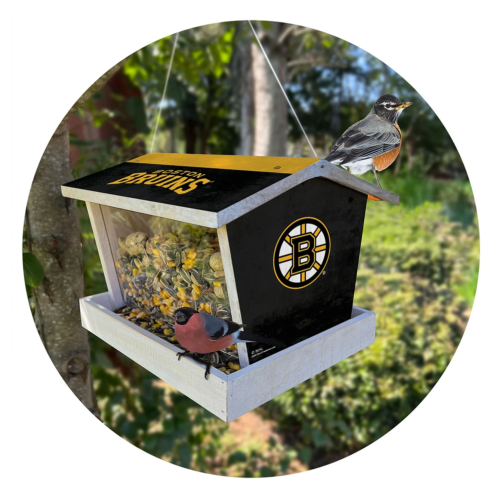 Boston Bruins Team Pride Bird Feeder