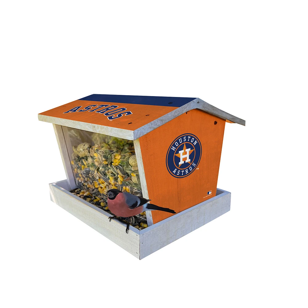 Houston Astros Team Pride Bird Feeder
