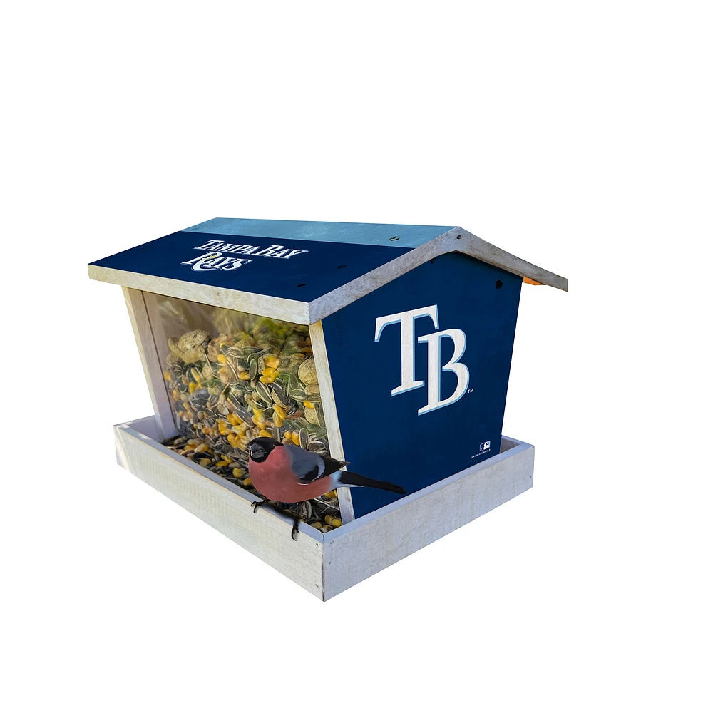 Tampa Bay Rays Team Pride Bird Feeder