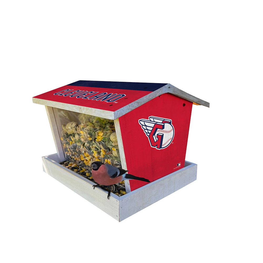 Cleveland Guardians Team Pride Bird Feeder