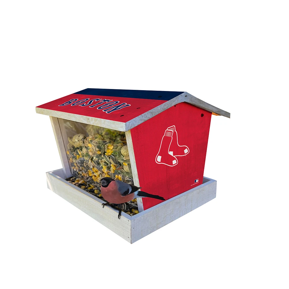 Boston Red Sox Team Pride Bird Feeder