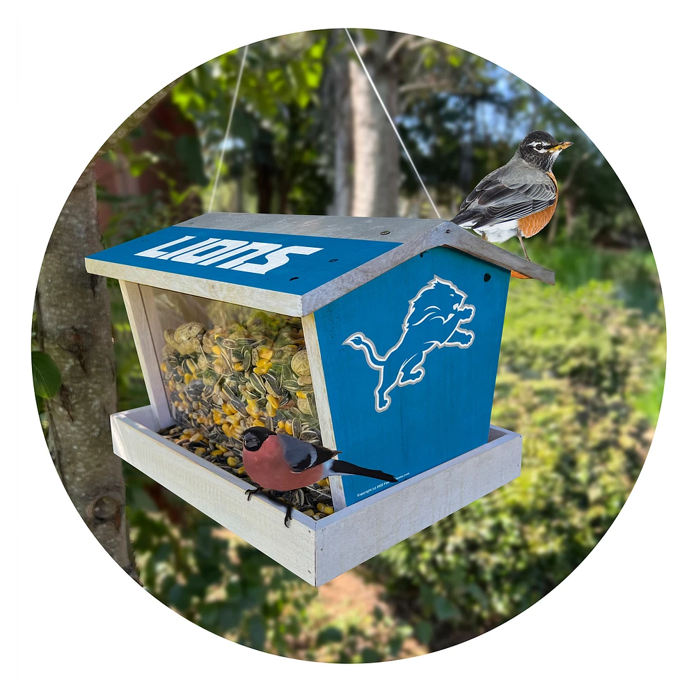 Detroit Lions Team Pride Bird Feeder