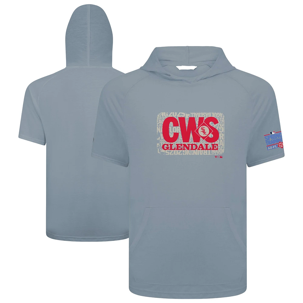 Men's Levelwear Gray Chicago White Sox 2025 Spring Training Phase Hoodie T-Shirt