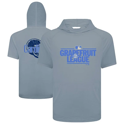 Men's Levelwear Gray St. Louis Cardinals 2025 Spring Training Phase Hoodie T-Shirt