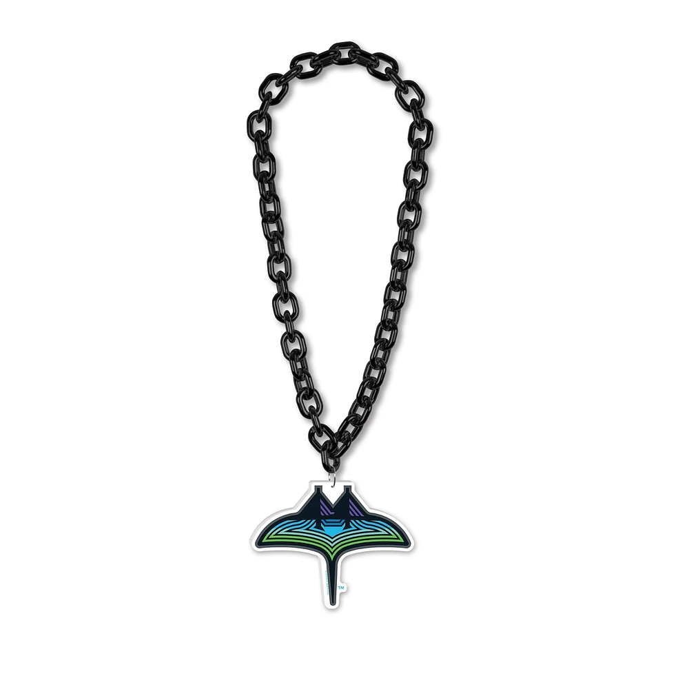 WinCraft Tampa Bay Rays Big Chain Necklace