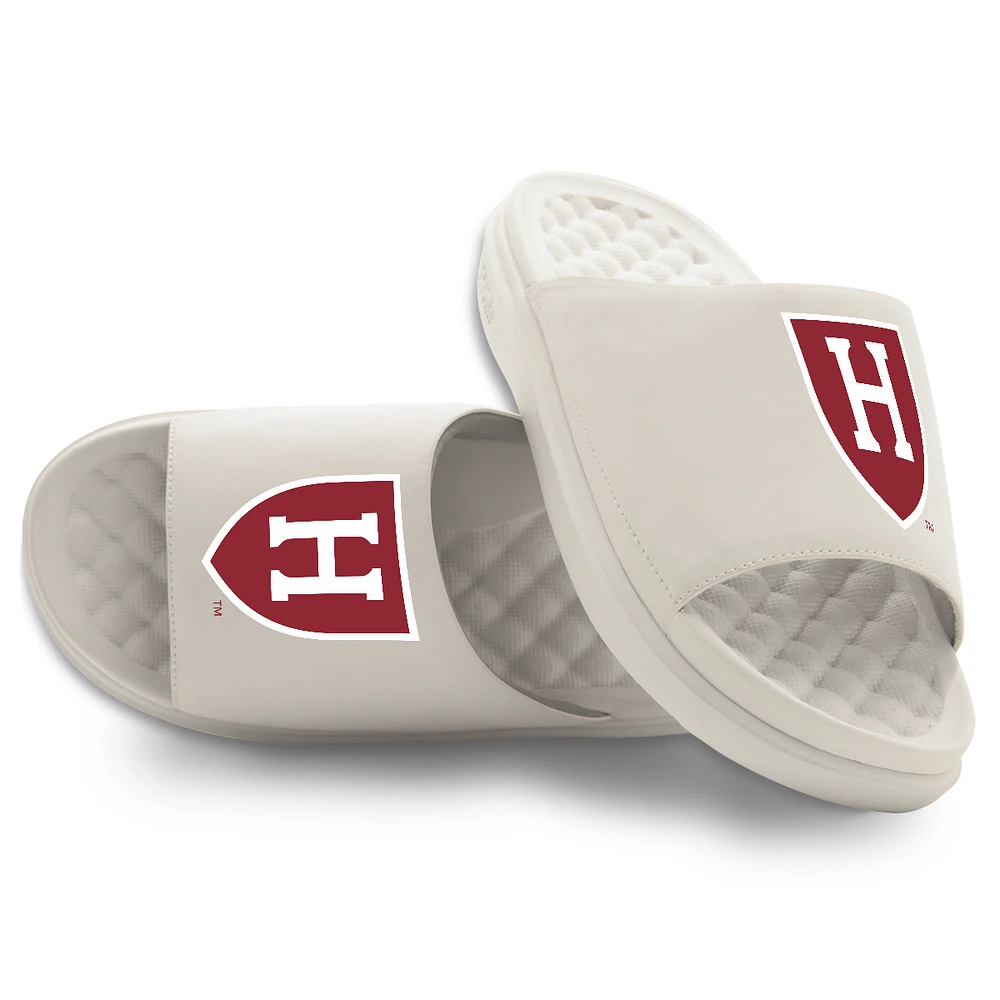 Youth ISlide Cream Harvard Crimson Primary Motive Slide Sandals