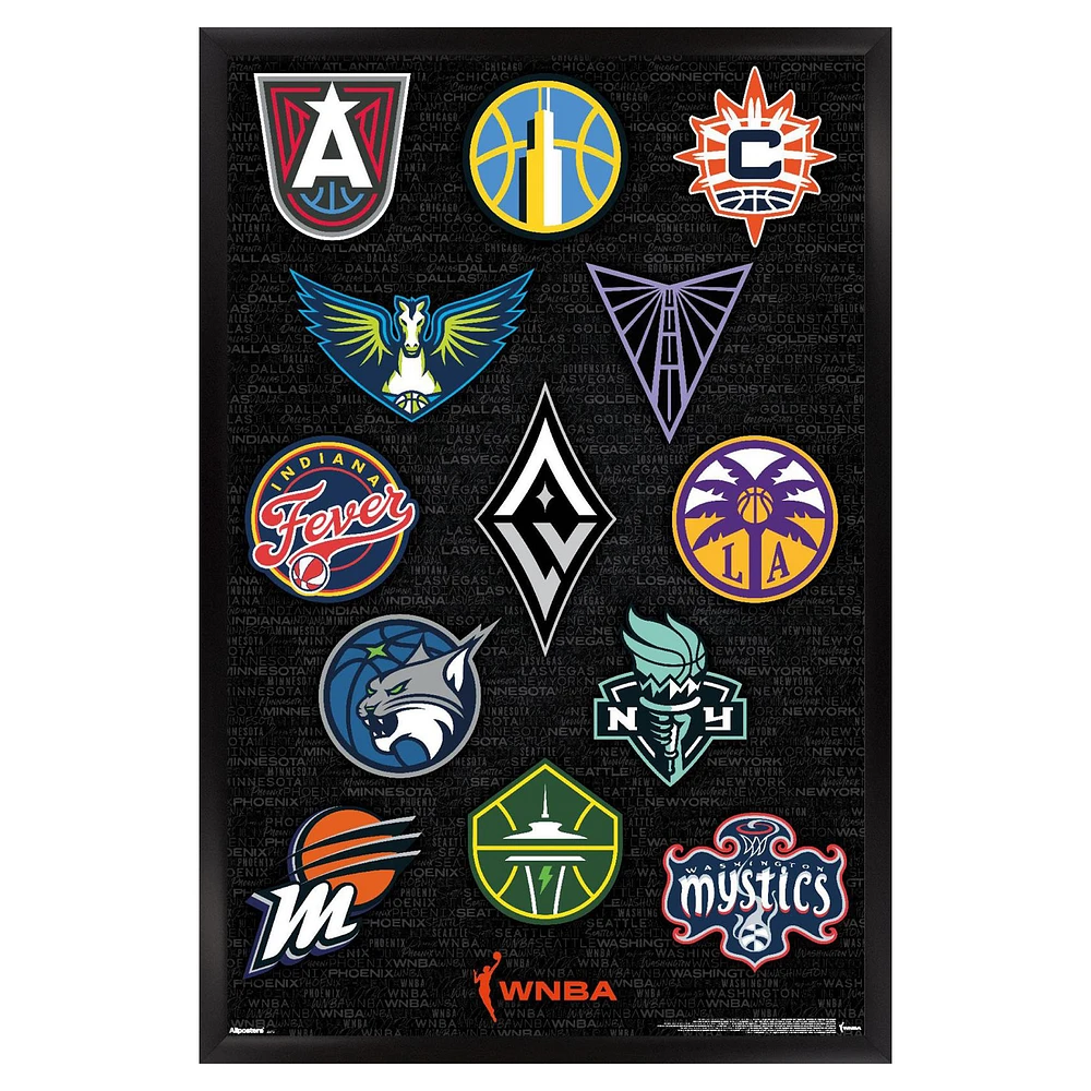 WNBA 24" x 36" Framed Poster