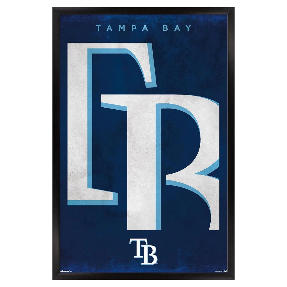 Tampa Bay Rays 24" x 36" Framed Poster