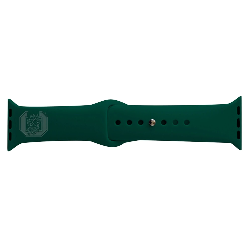 Turquoise South Carolina Gamecocks 38-40mm Color Apple Watch Wrist Band