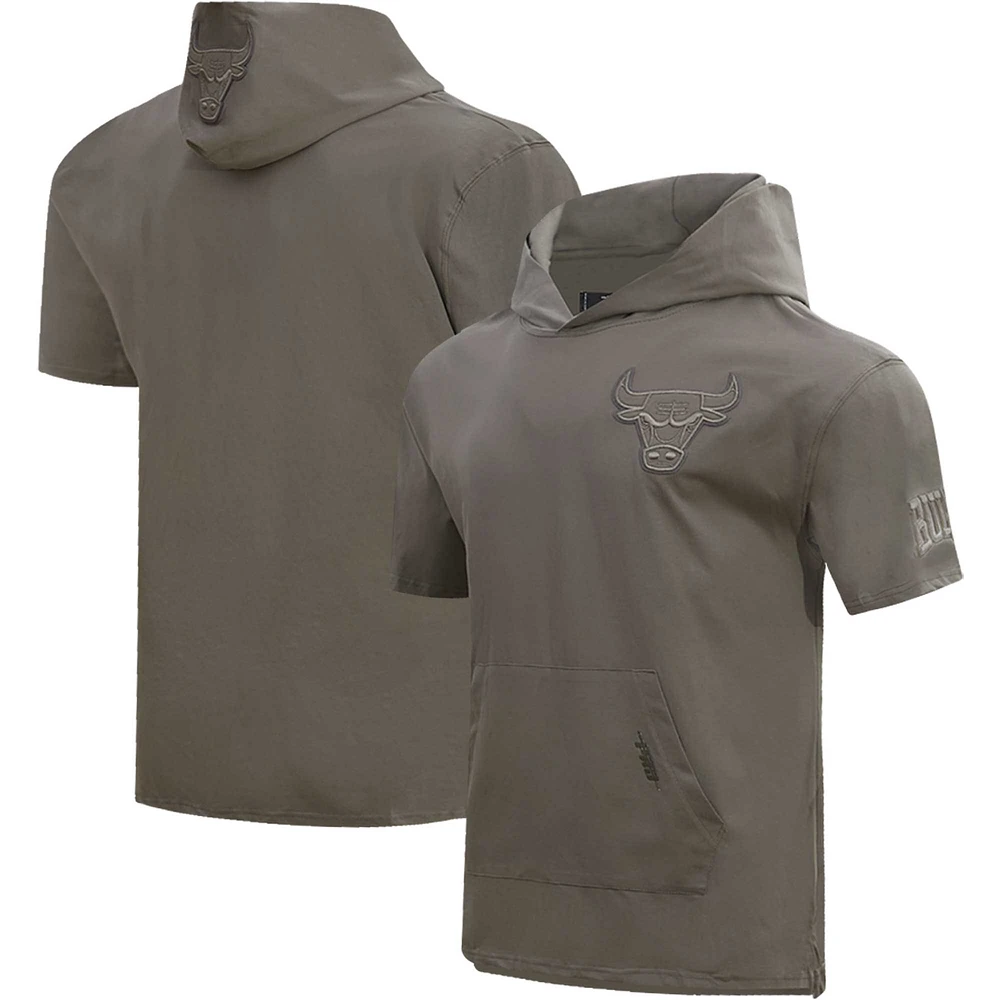 Men's Pro Standard Gray Chicago Bulls Neutrals Short Sleeve Pullover Hoodie