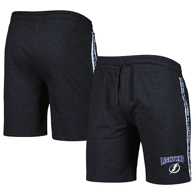 Men's Concepts Sport Charcoal Tampa Bay Lightning Team Stripe Shorts