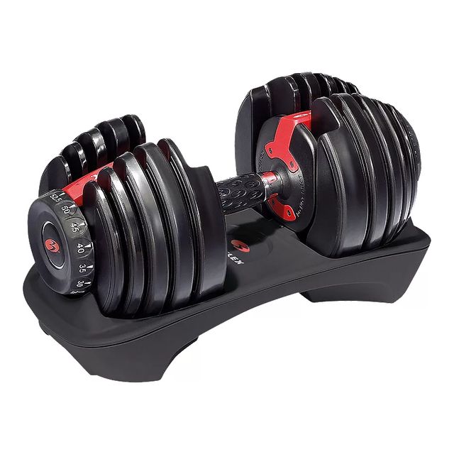Bowflex SelectTech 552 Adjustable Dumbbell, Weight, Home Gym