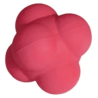 Reaction - Multi-Sport Agility Trainer